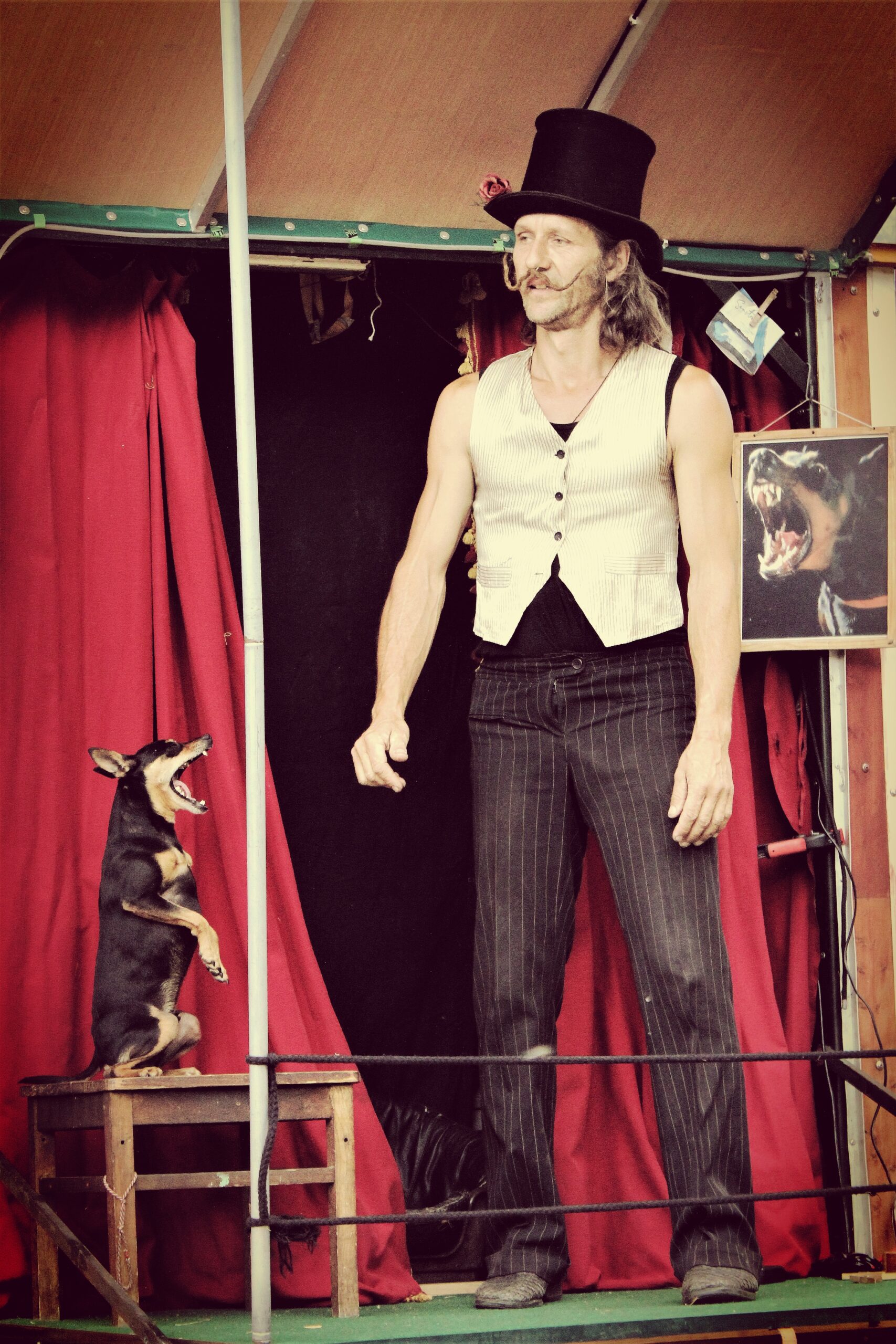 »DEM CARNIES: Rocco The Great«